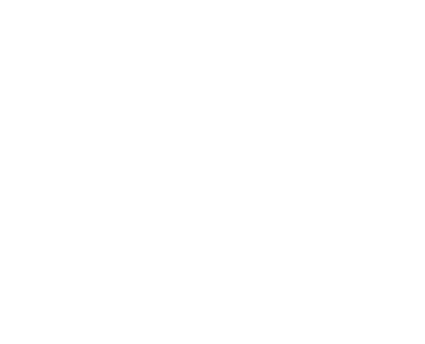 IA